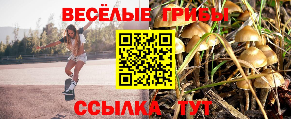 Псилоцибиновые грибы ЛСД Ликино-Дулёво