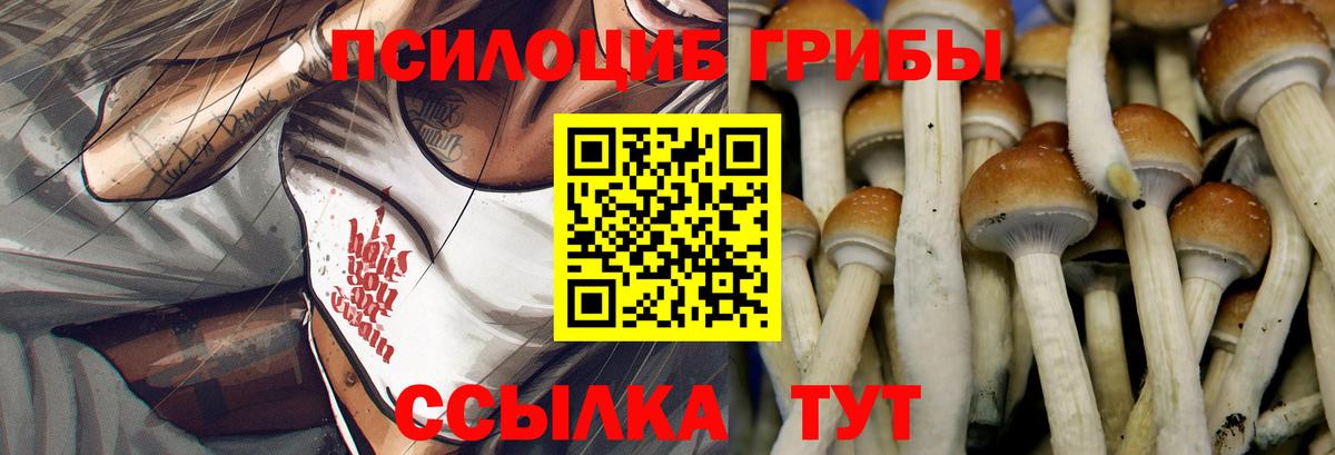 Галлюциногенные грибы MAGIC MUSHROOMS  Вход с VPN  Ликино-Дулёво  Галлюциногенные грибы Psilocybine cubensis 